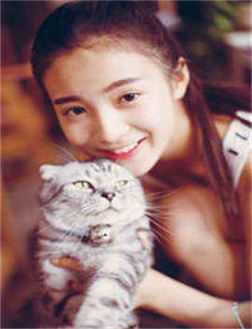 走投无路2002