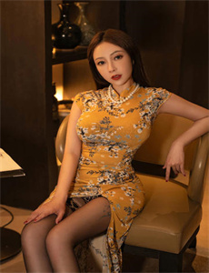 女总裁的贴身高手2